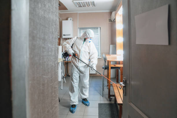 Mendota, CA Mold Removal Company